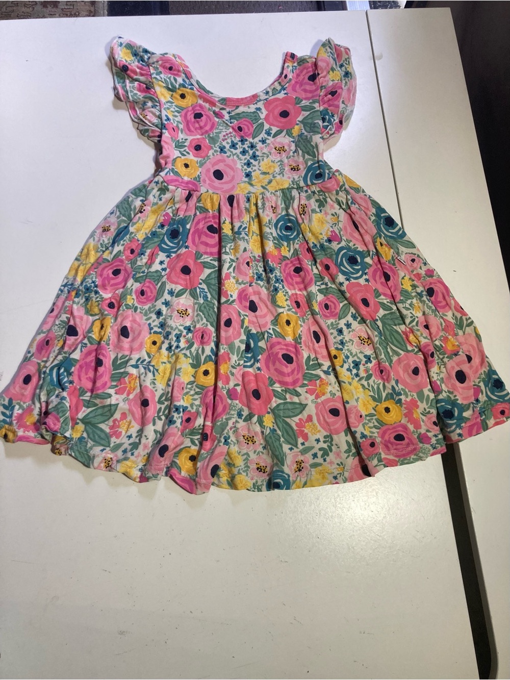 Play by Little Sleepies Secret Garden Twirl Dress Pockets Ruffle Sleeves Size 3T